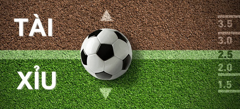 các kiểu cá độ bóng đá