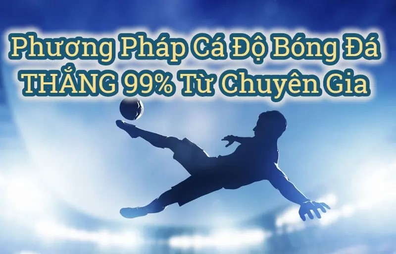 với phương pháp cá độ bóng đá tỷ lệ thắng trên 90%