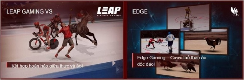 OPPA888 - Trang cá độ bóng đá số 1 Việt Nam